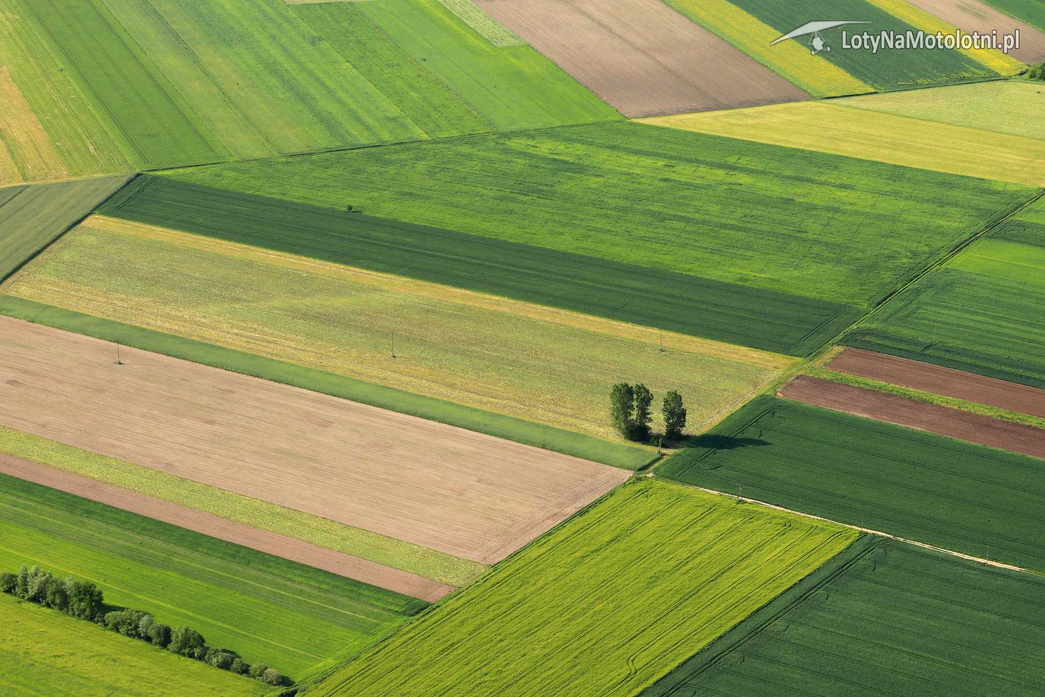 Malownicza wiosna na Mazowszu.